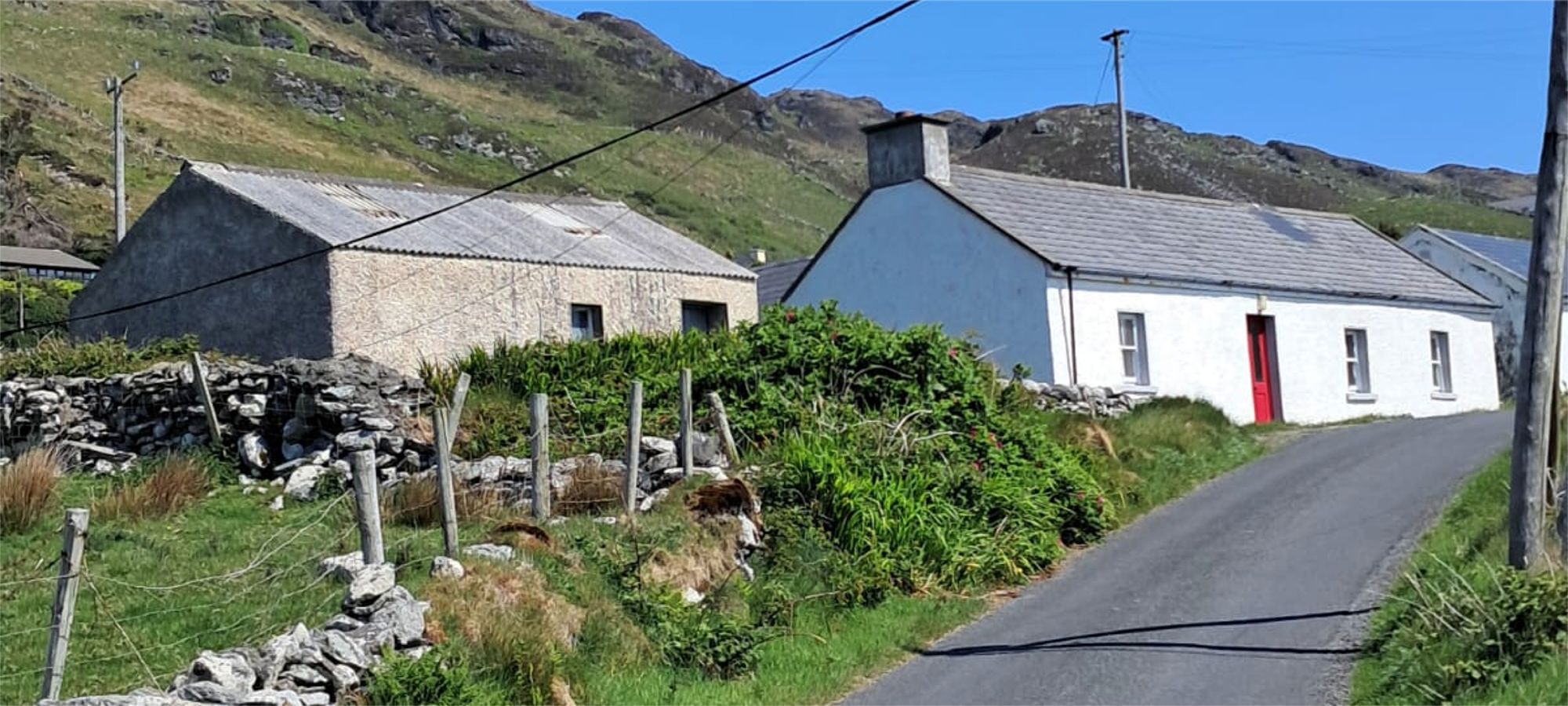Muckross Head Walking Tour  with DanyGal, Fáilte Ireland Certified Tour Guide, County Donegal