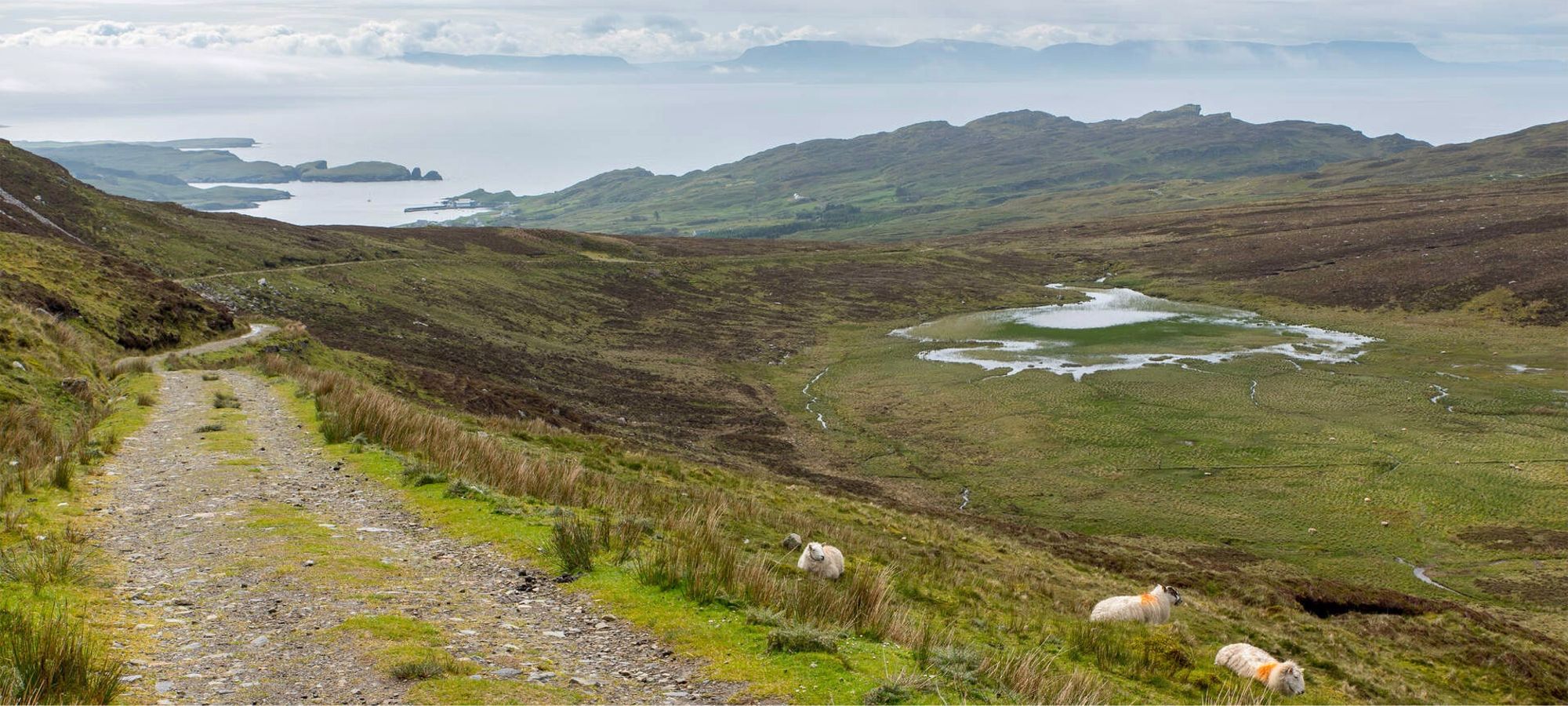 Slieve League Tour Experience